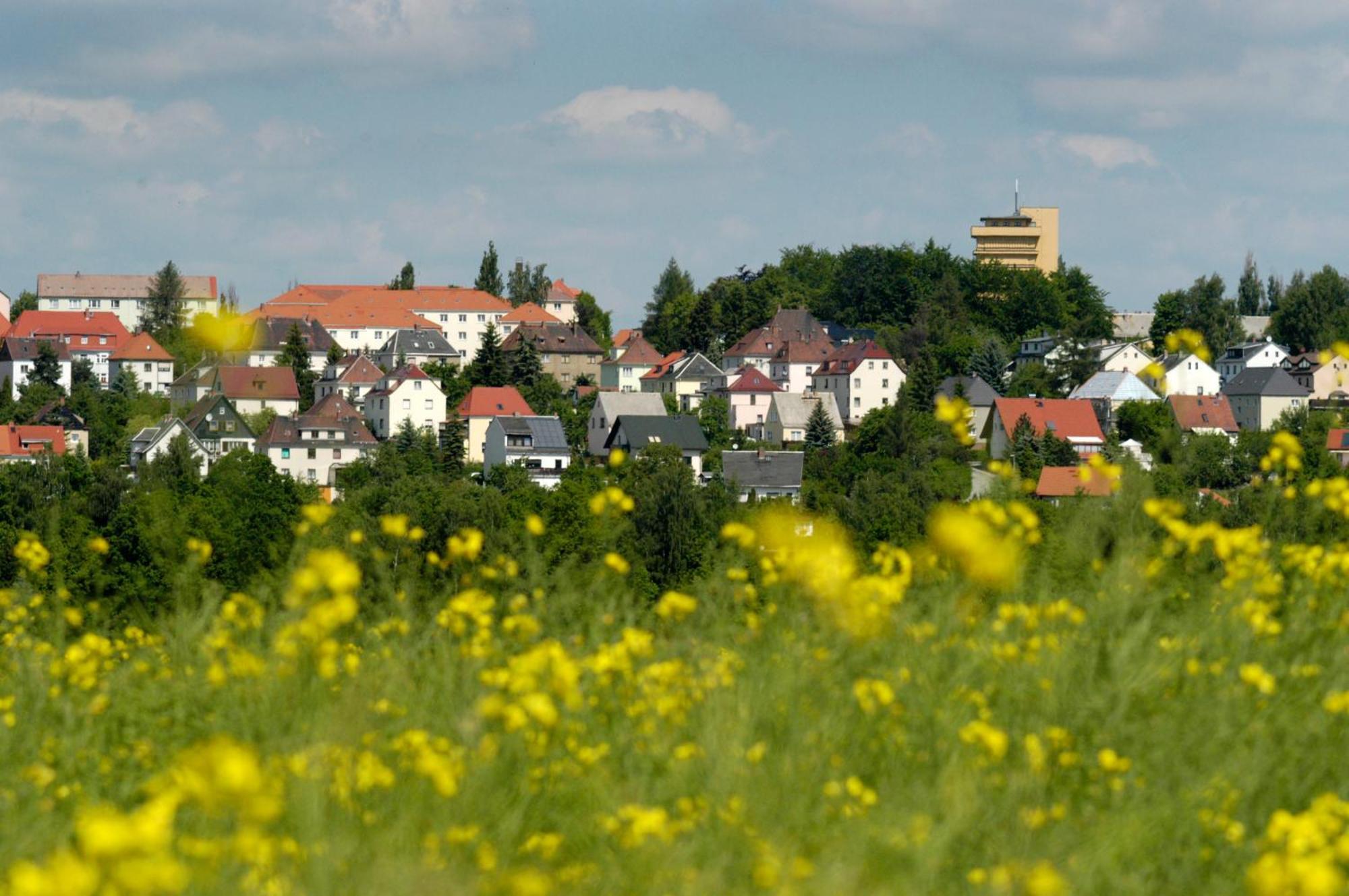 Hotel Am Park Reichenbach im Vogtland Exterior foto
